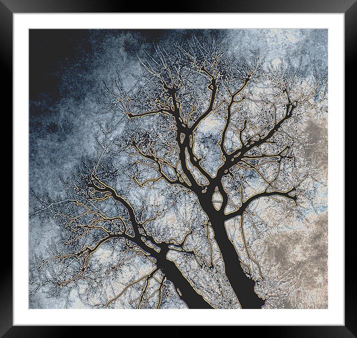 Skeleton Tree Framed Mounted Print by Karen Martin