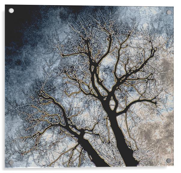 Skeleton Tree Acrylic by Karen Martin