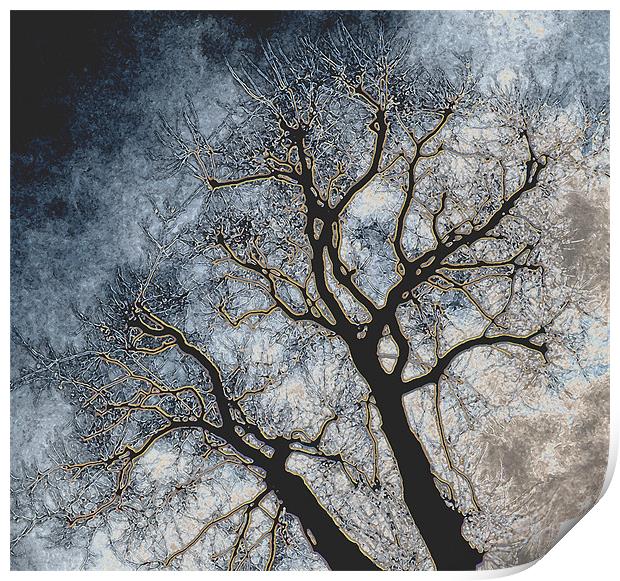 Skeleton Tree Print by Karen Martin