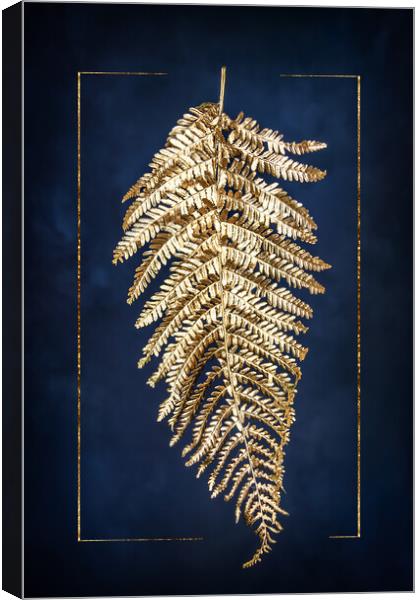 Golden fern Canvas Print by Steffen Gierok-Latniak