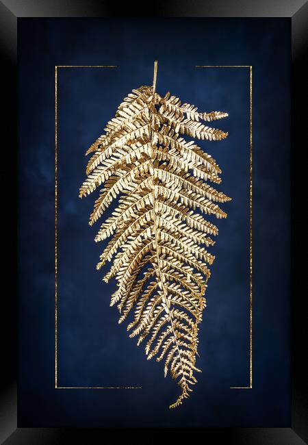 Golden fern Framed Print by Steffen Gierok-Latniak