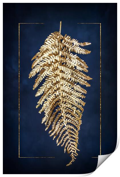 Golden fern Print by Steffen Gierok-Latniak