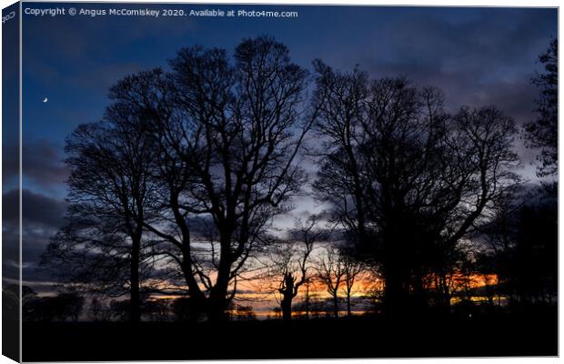 Silhouette of winter trees Canvas Print by Angus McComiskey