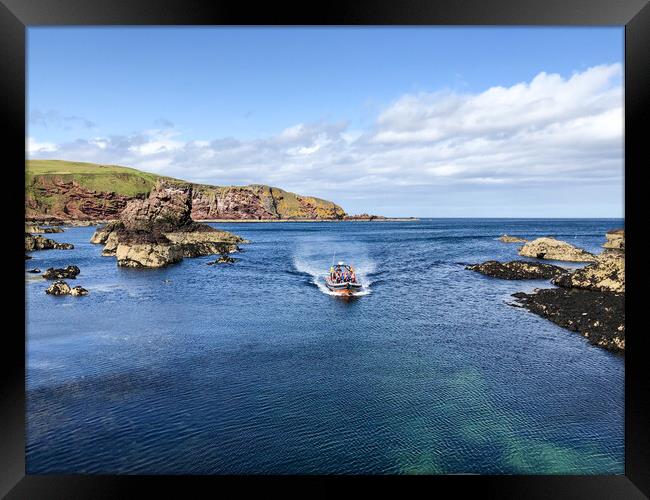 Pleasure trips at St Abbs Framed Print by Naylor's Photography