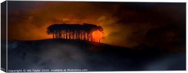 Sunset at the 'Nearly home' trees Canvas Print by Nik Taylor