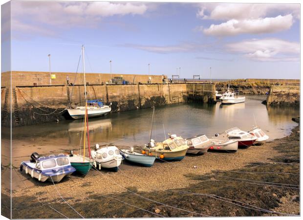 Pretty St. Abbs Harbour  Canvas Print by Naylor's Photography
