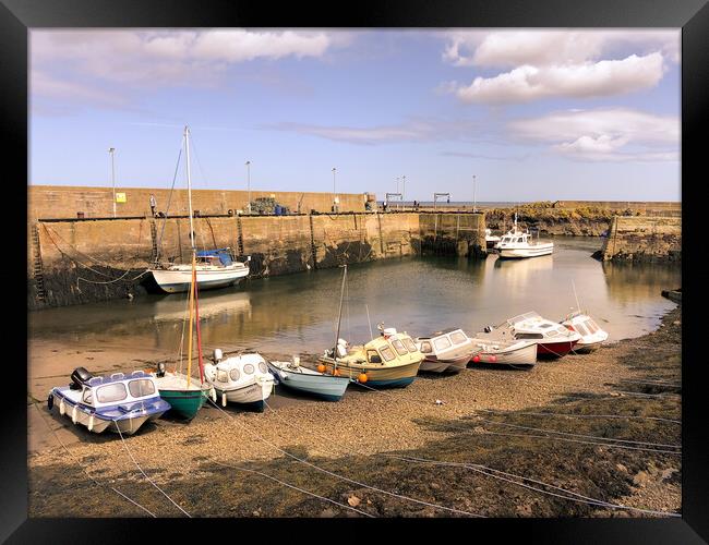 Pretty St. Abbs Harbour  Framed Print by Naylor's Photography