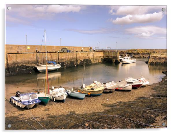 Pretty St. Abbs Harbour  Acrylic by Naylor's Photography