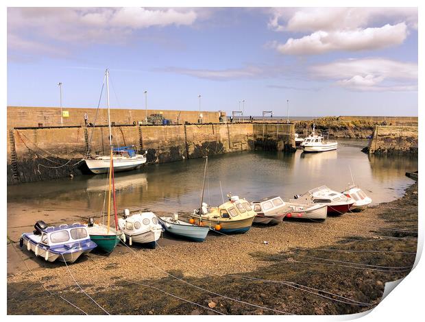 Pretty St. Abbs Harbour  Print by Naylor's Photography