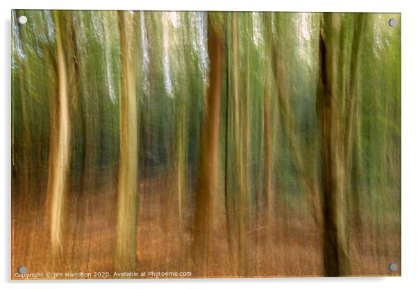 The Forest Acrylic by jim Hamilton