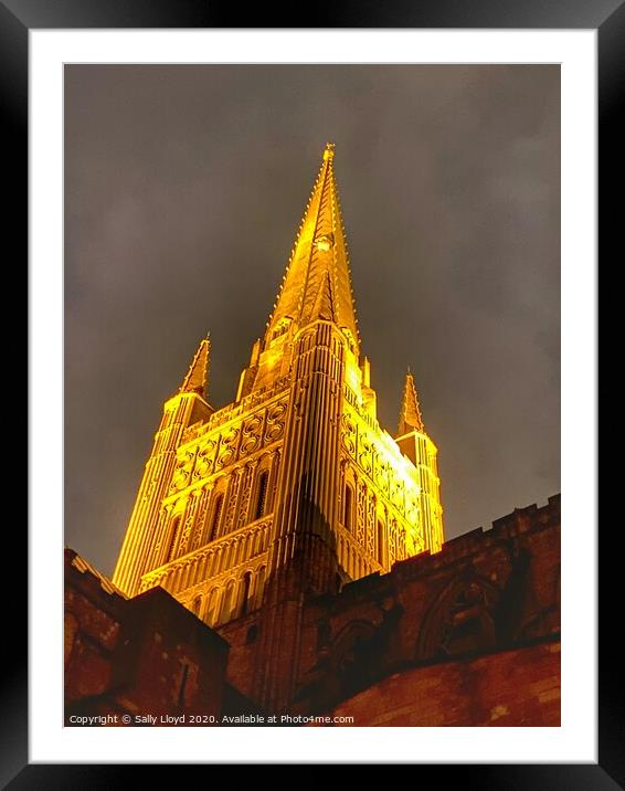 Golden Wonder at Norwich Cathedral  Framed Mounted Print by Sally Lloyd