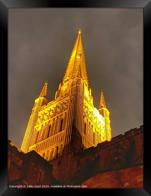 Golden Wonder at Norwich Cathedral  Framed Print by Sally Lloyd