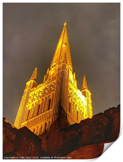 Golden Wonder at Norwich Cathedral  Print by Sally Lloyd