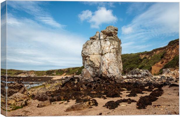 The Enchanting Beauty of Porth Padrig Beach Canvas Print by Wendy Williams CPAGB