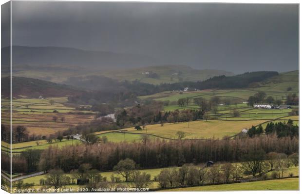 Bright and Damp Upper Teesdale 1 Canvas Print by Richard Laidler