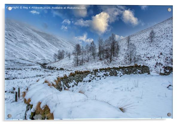 Coquet Valley - Northumberland Acrylic by Reg K Atkinson
