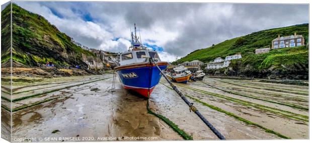 Port Port Isaac Canvas Print by SEAN RAMSELL