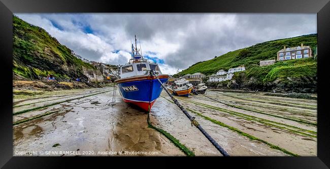 Port Port Isaac Framed Print by SEAN RAMSELL