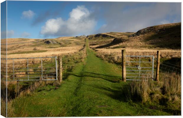 The track to the top of Penwyllt Canvas Print by Leighton Collins