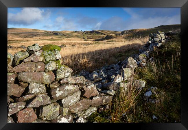 Old dry stone wall at Penwyllt Framed Print by Leighton Collins