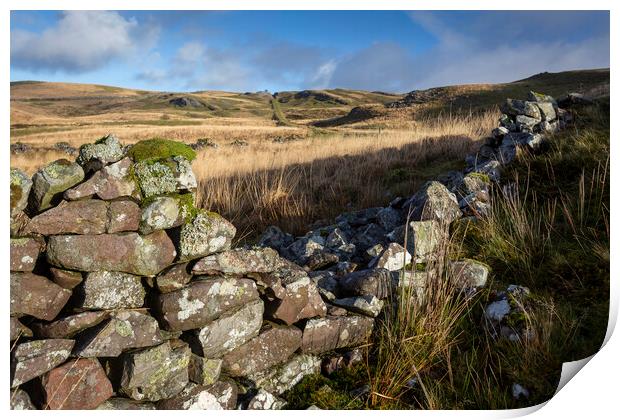 Old dry stone wall at Penwyllt Print by Leighton Collins