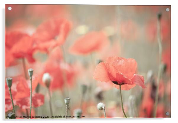Poppies in a field Acrylic by Martin Williams
