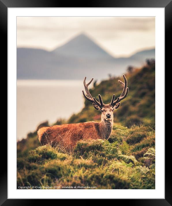 Oh Deer! Framed Mounted Print by Craig Doogan