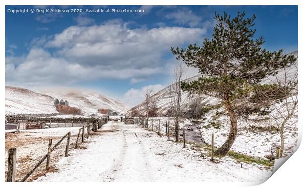Coquet Valley - Wintertime Print by Reg K Atkinson