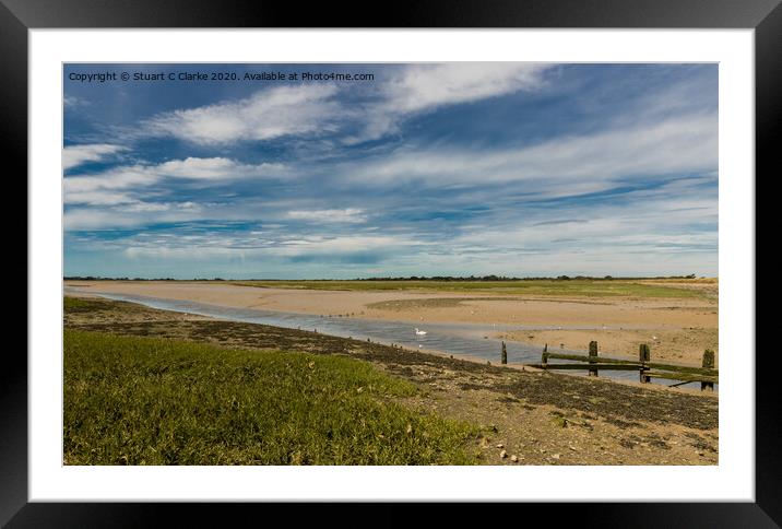 Swan at Pagham Harbour  Framed Mounted Print by Stuart C Clarke