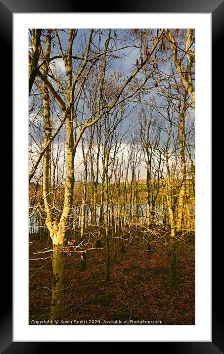 Winter trees at the Ogden Reservoir Framed Mounted Print by Kevin Smith