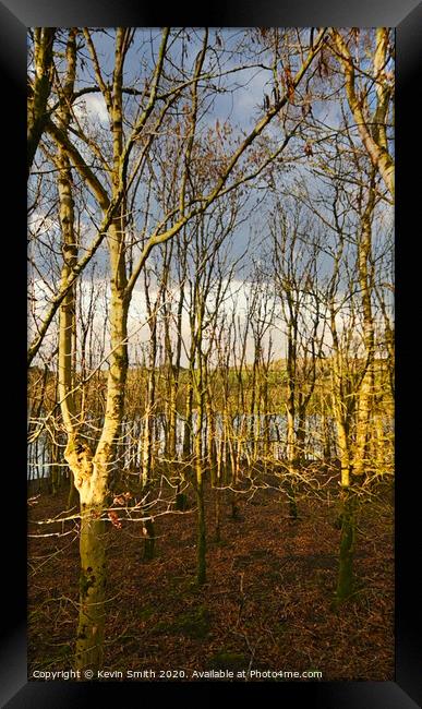 Winter trees at the Ogden Reservoir Framed Print by Kevin Smith