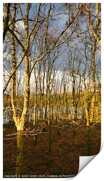 Winter trees at the Ogden Reservoir Print by Kevin Smith