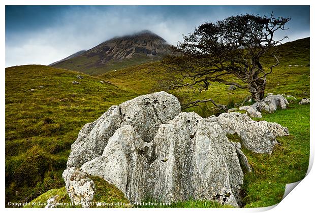 The Red Cuillin Hills Print by David Lewins (LRPS)