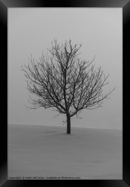 Lone Tree on a snow covered hill. Framed Print by Matt Hill