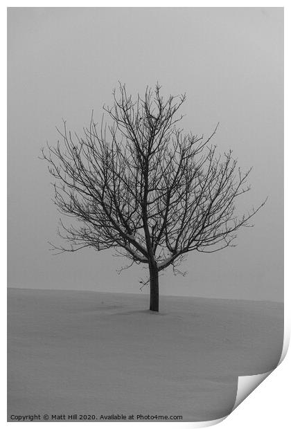 Lone Tree on a snow covered hill. Print by Matt Hill