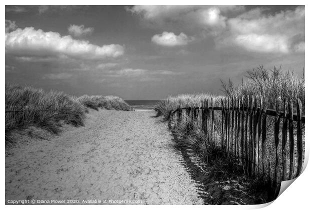 Mablethorpe beach Lincolnshire Monochrome Print by Diana Mower