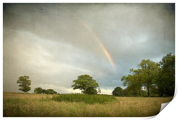 Rainbow over Wramplingham, Norfolk Print by Dave Turner