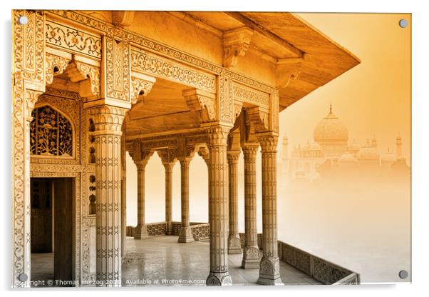 Taj Mahal with Fort Agra Acrylic by Thomas Herzog