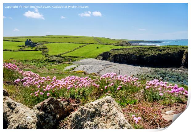 Sea Pinks at Cable Bay Anglesey Print by Pearl Bucknall