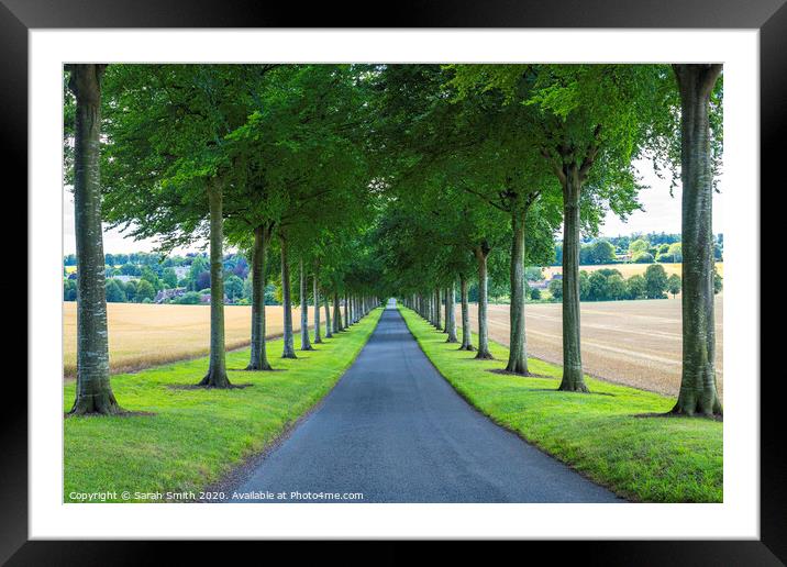 Moor Crichel Avenue of Trees Framed Mounted Print by Sarah Smith