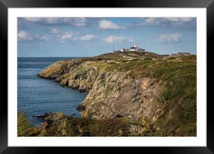 Pont Lynas Lighthouse Framed Mounted Print by Wendy Williams CPAGB