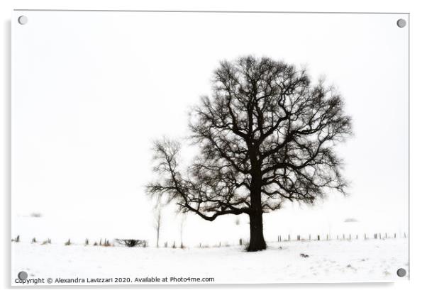 Winter Tree Acrylic by Alexandra Lavizzari