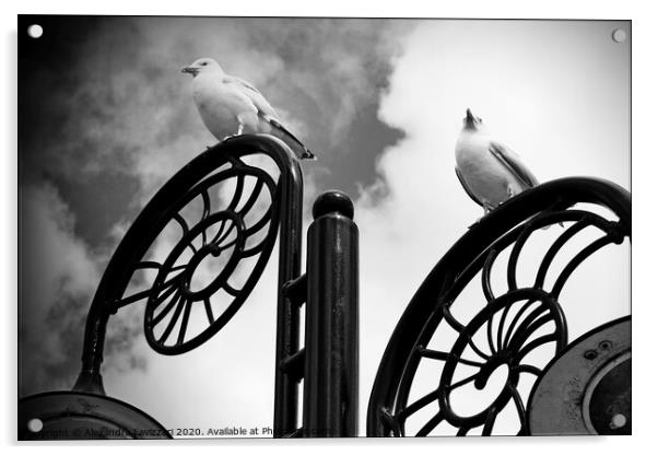 The Gulls Of Lyme Regis Acrylic by Alexandra Lavizzari