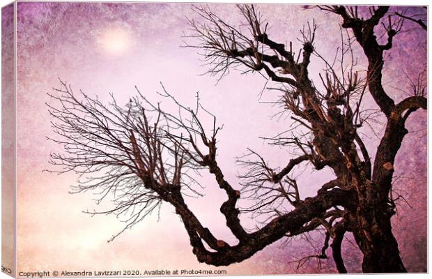 Reaching For The Moon Canvas Print by Alexandra Lavizzari