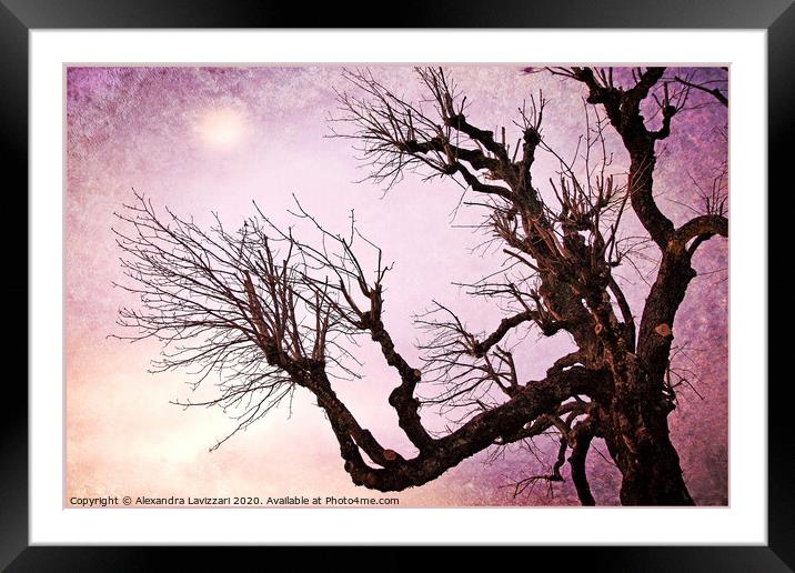 Reaching For The Moon Framed Mounted Print by Alexandra Lavizzari