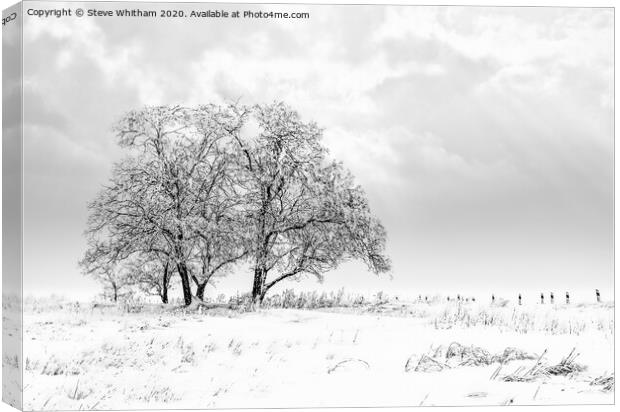 Snowfall on the meadow. Canvas Print by Steve Whitham