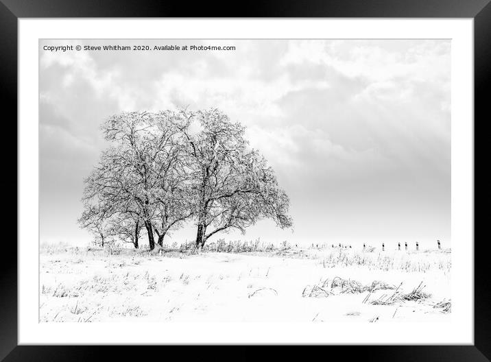 Snowfall on the meadow. Framed Mounted Print by Steve Whitham