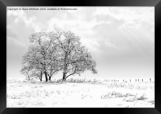 Snowfall on the meadow. Framed Print by Steve Whitham