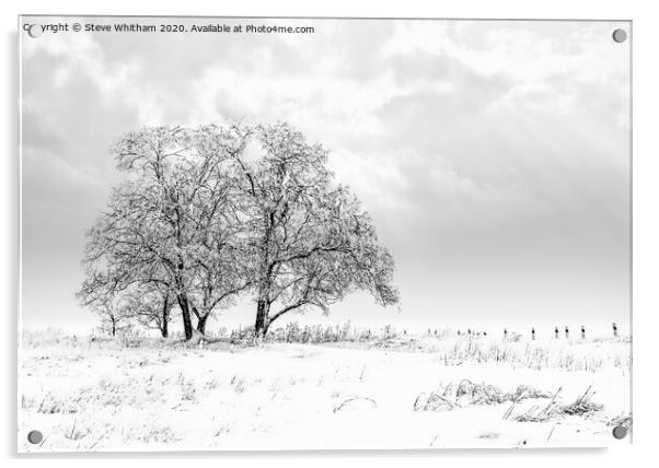 Snowfall on the meadow. Acrylic by Steve Whitham