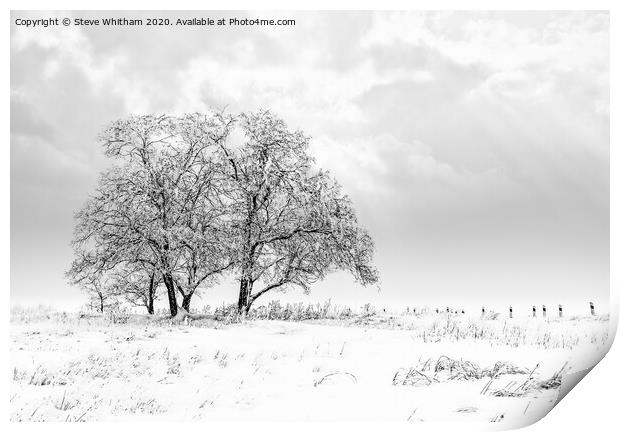 Snowfall on the meadow. Print by Steve Whitham